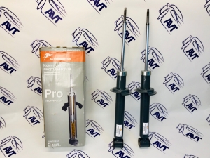 Амортизаторы задние Alternative Pro-G ВАЗ 2110 (г/м) (2 шт.)